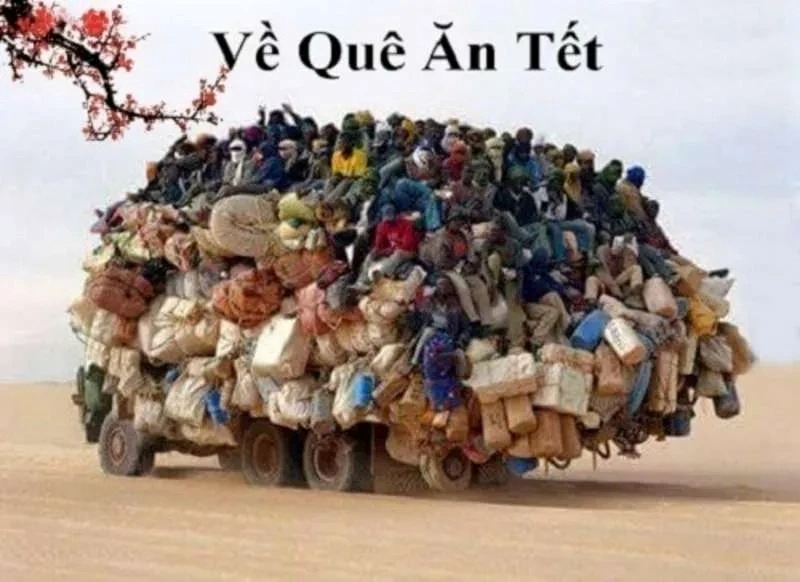 meme tết
