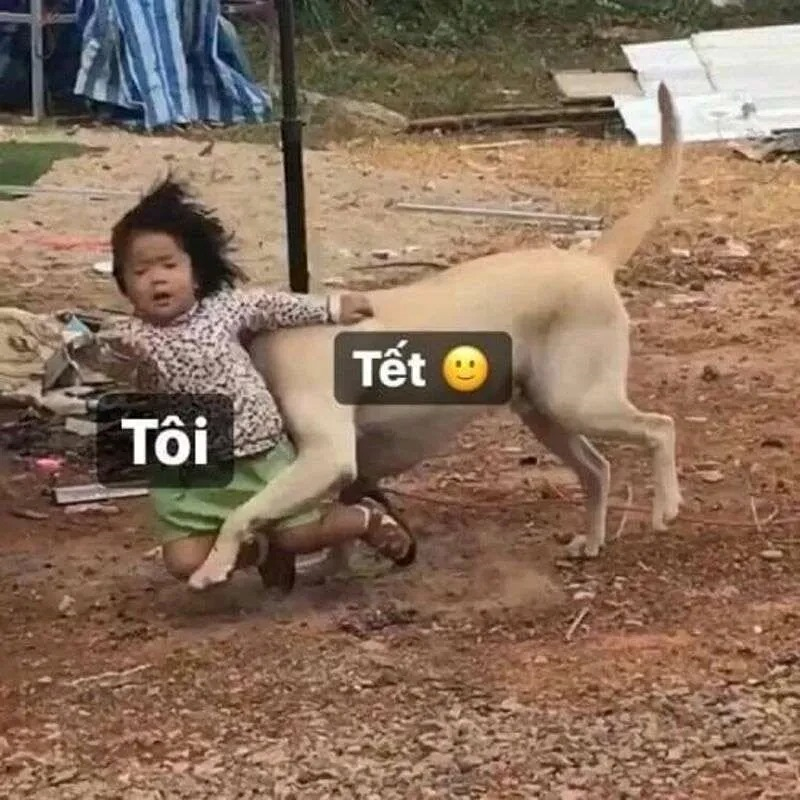 meme tết