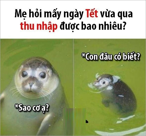 meme tết