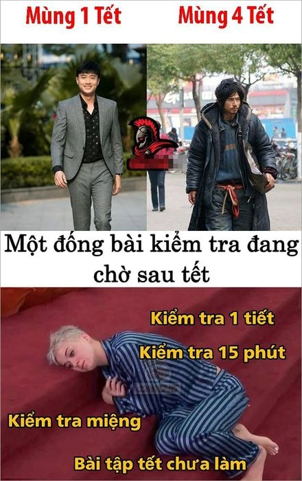 meme tết