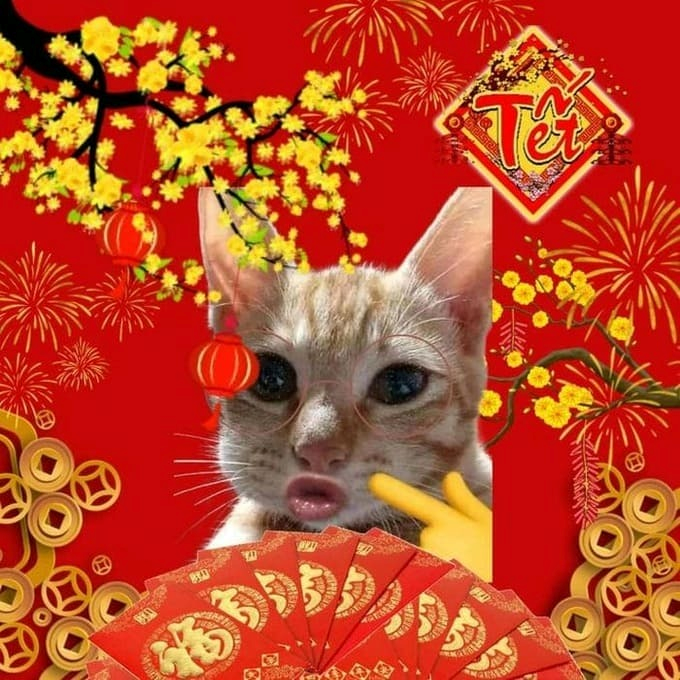 meme tết