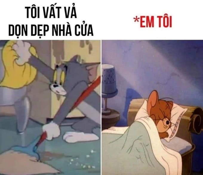 meme tết
