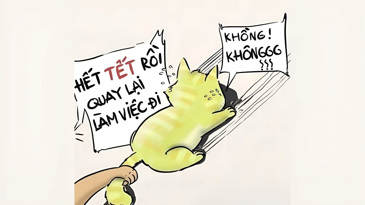 meme tết