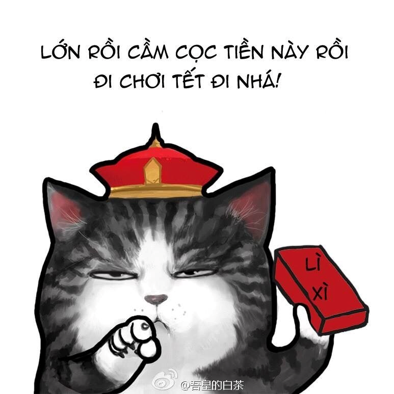 meme tết