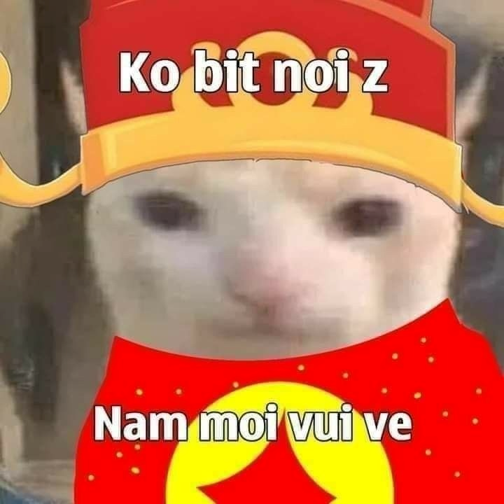 meme tết