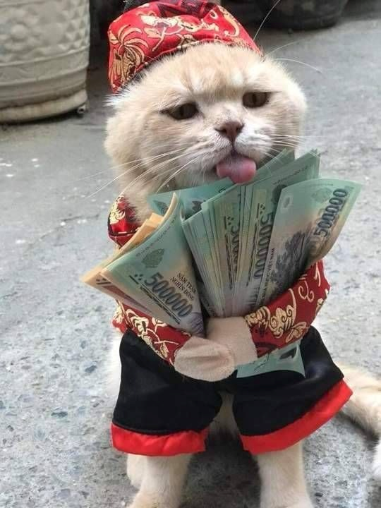 meme tết