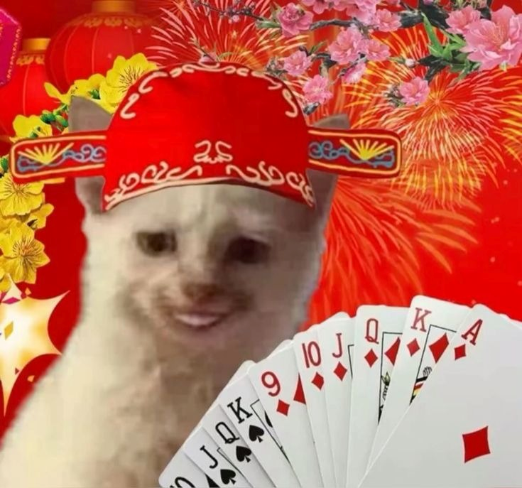 meme tết