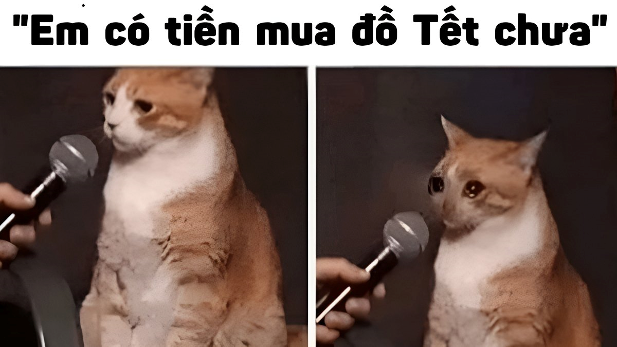 meme tết