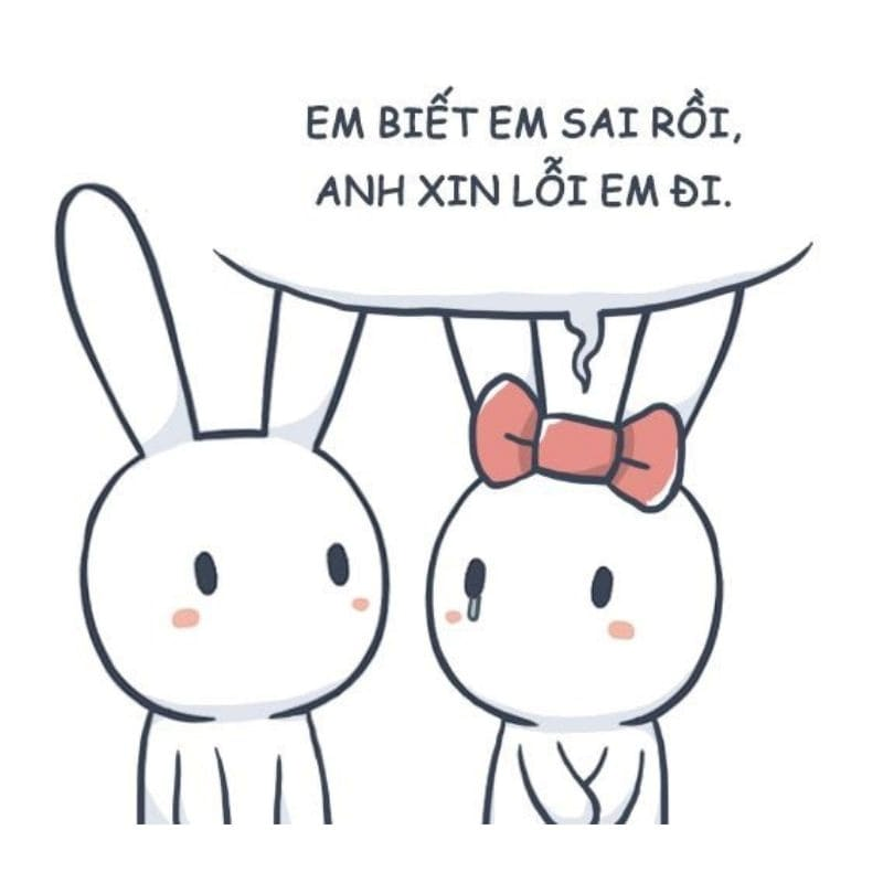 meme xin lỗi