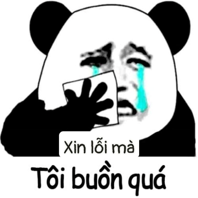 meme xin lỗi