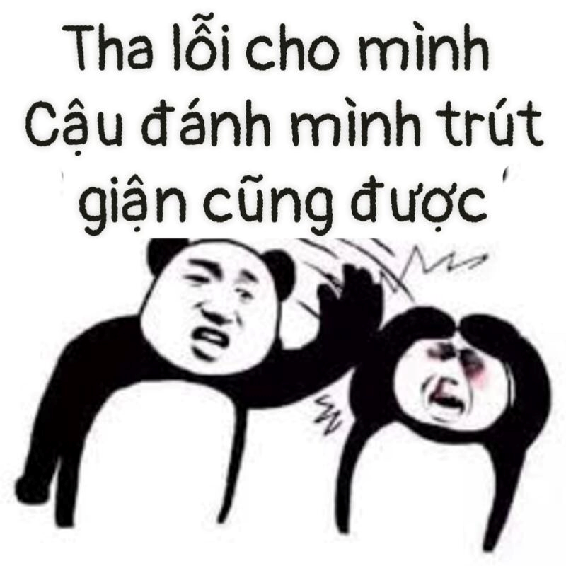 meme xin lỗi