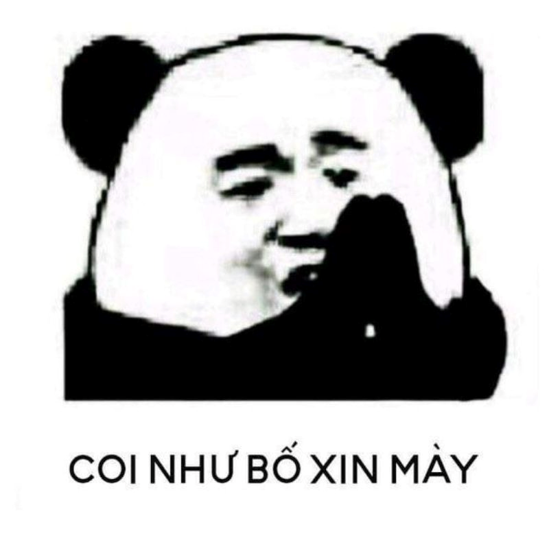 meme xin lỗi