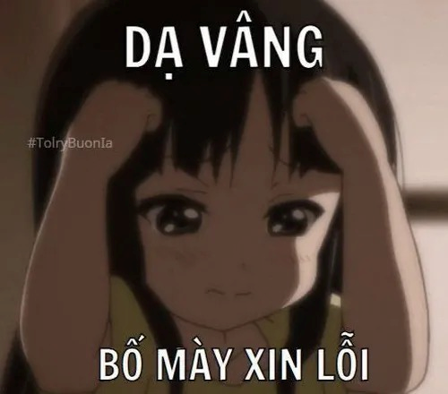 meme xin lỗi