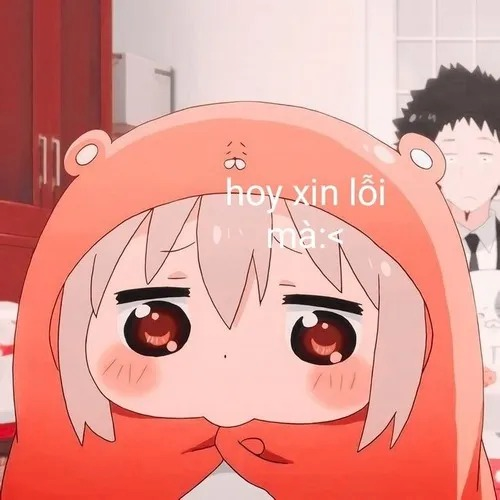 meme xin lỗi