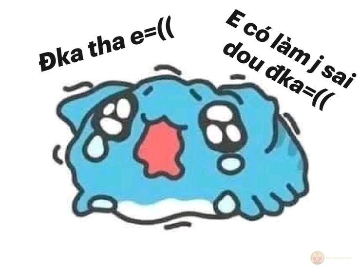 meme xin lỗi