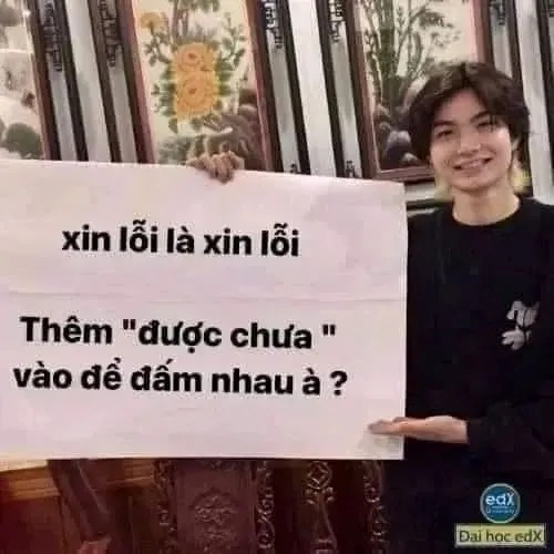 meme xin lỗi