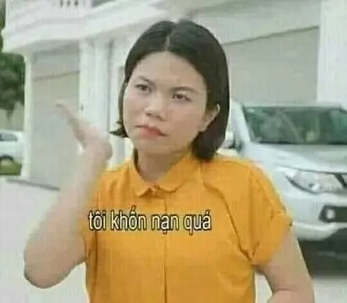 meme xin lỗi