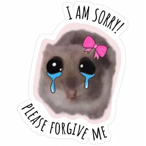 meme xin lỗi