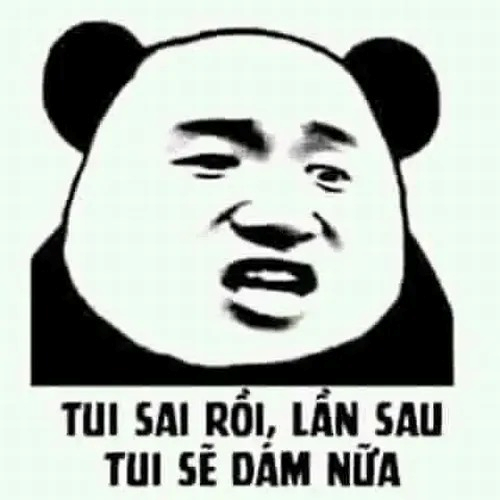 meme xin lỗi