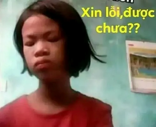 meme xin lỗi