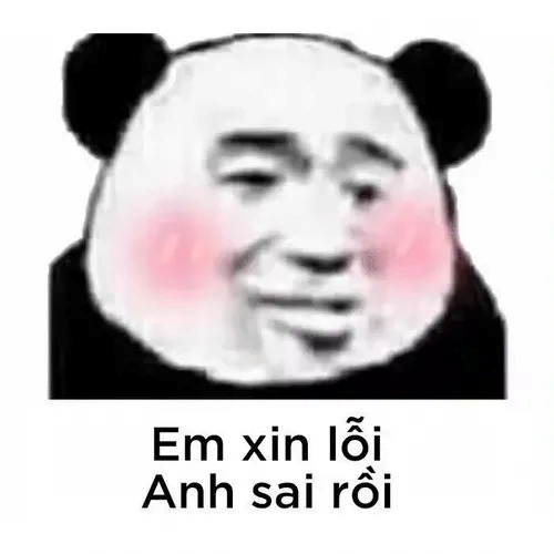 meme xin lỗi