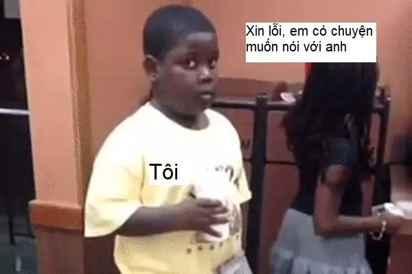 meme xin lỗi