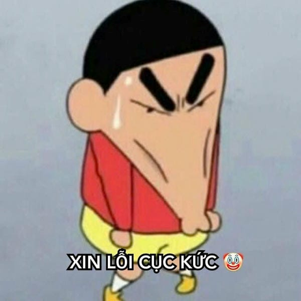meme xin lỗi