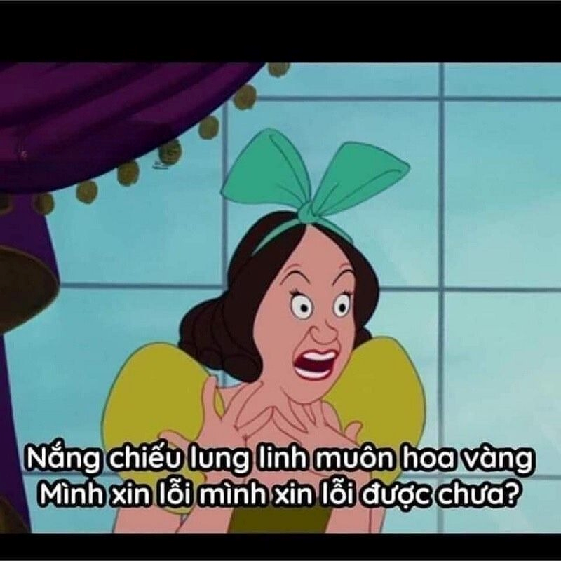 meme xin lỗi