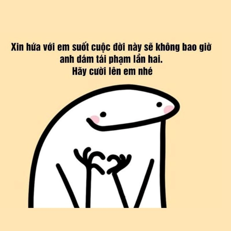 meme xin lỗi