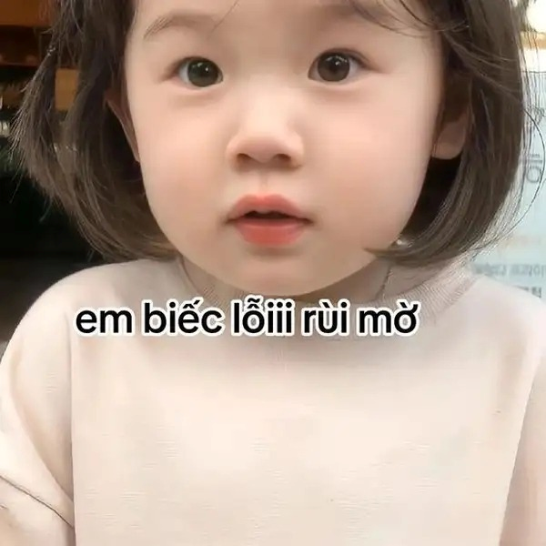 meme xin lỗi