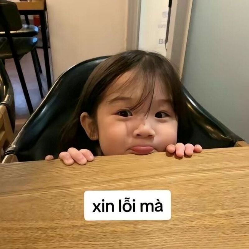 meme xin lỗi