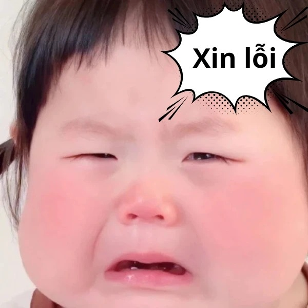 meme xin lỗi