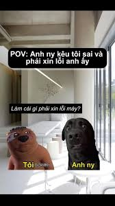meme xin lỗi