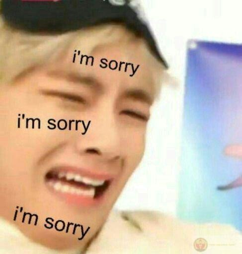 meme xin lỗi