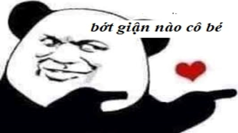 meme xin lỗi