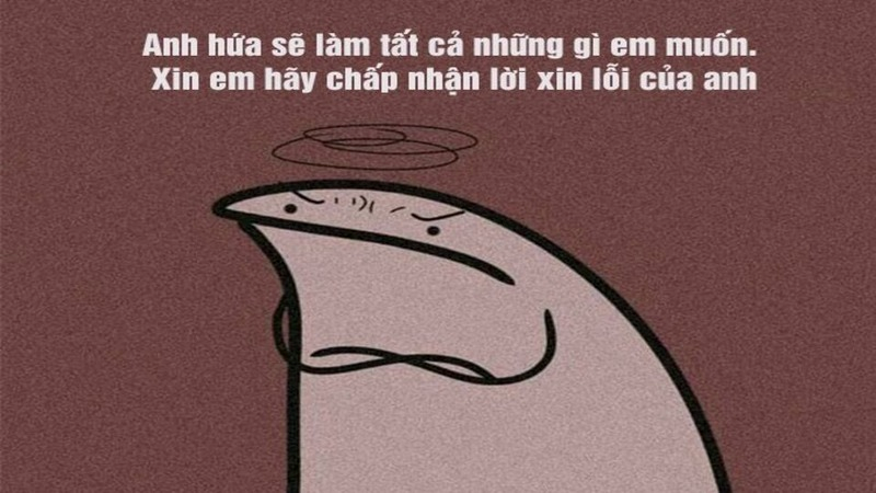 meme xin lỗi