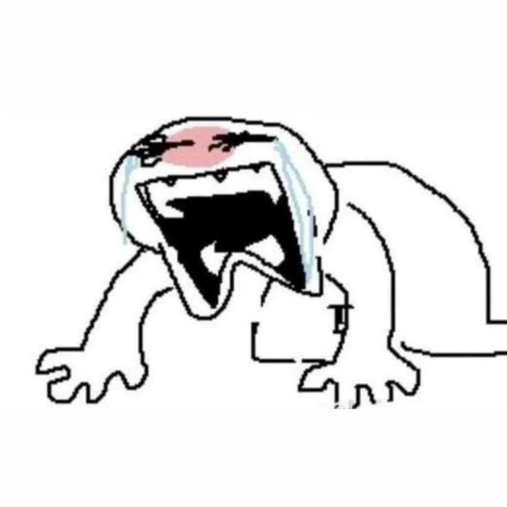 meme xin lỗi