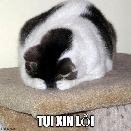 meme xin lỗi