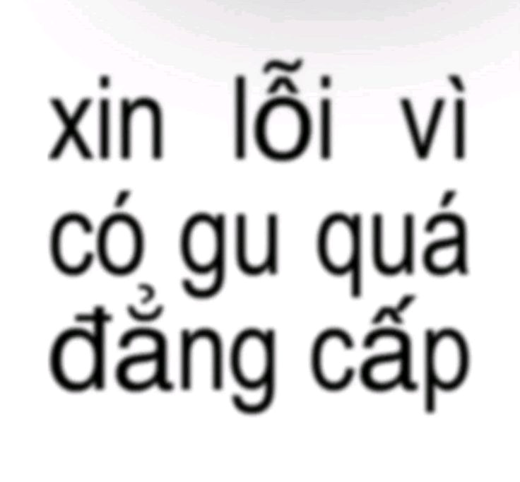 meme xin lỗi