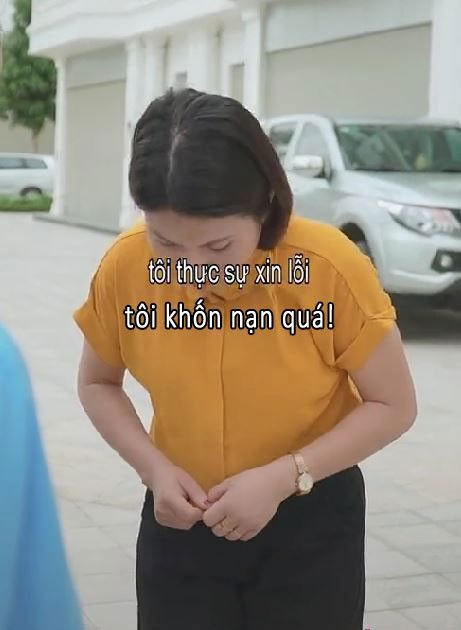 meme xin lỗi
