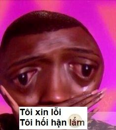 meme xin lỗi
