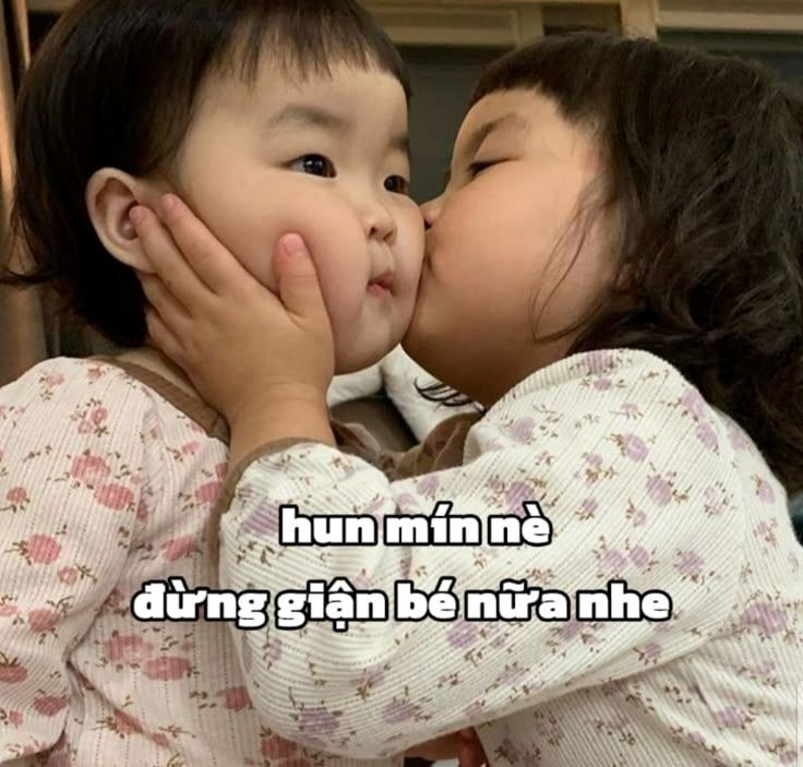 meme xin lỗi