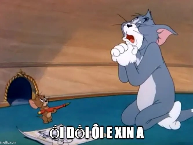 meme xin lỗi