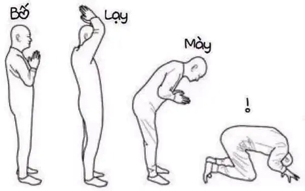 meme xin lỗi
