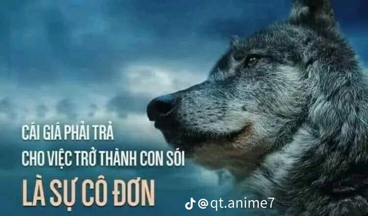 Sói Cô Độc Meme