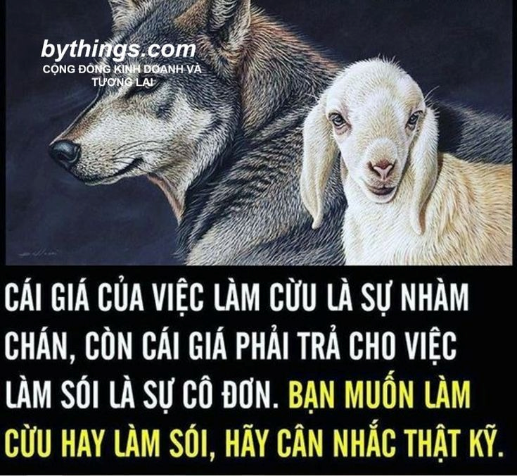 Sói Cô Độc Meme