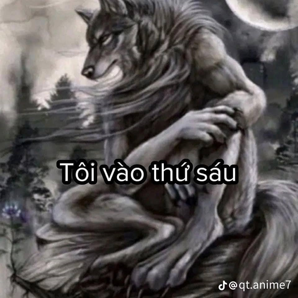 Sói Cô Độc Meme