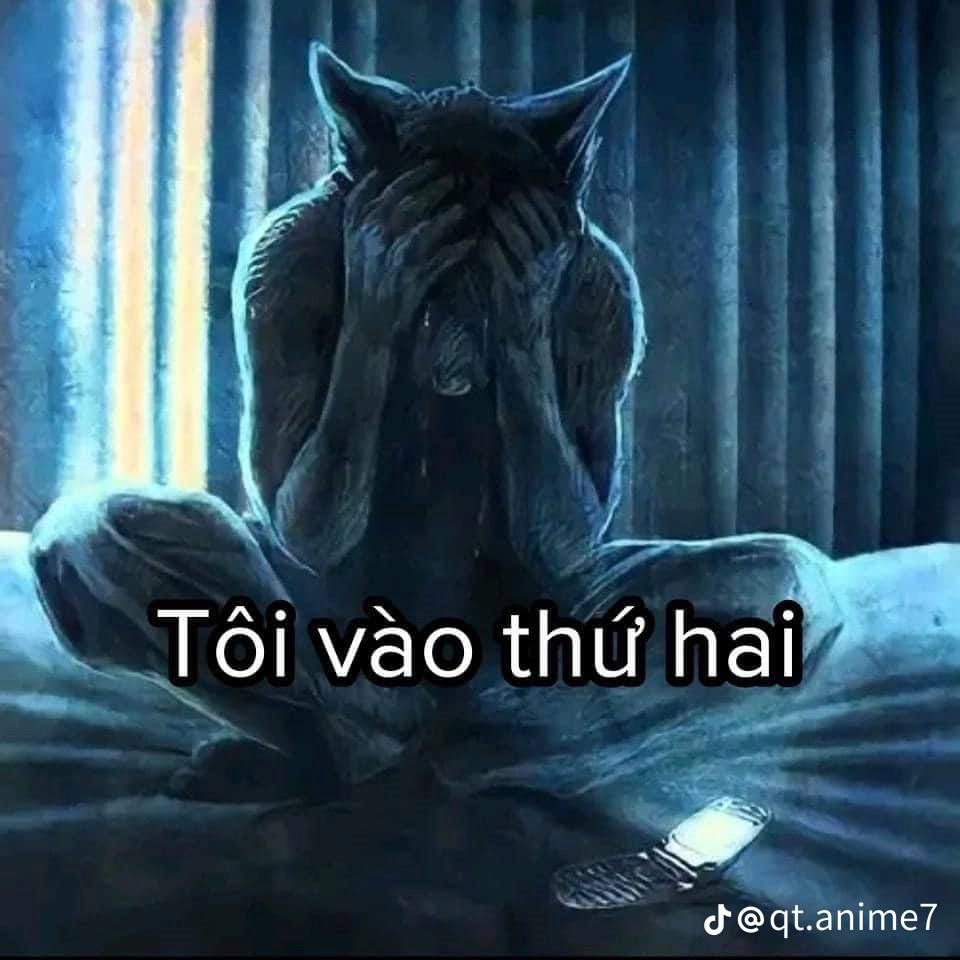 Sói Cô Độc Meme