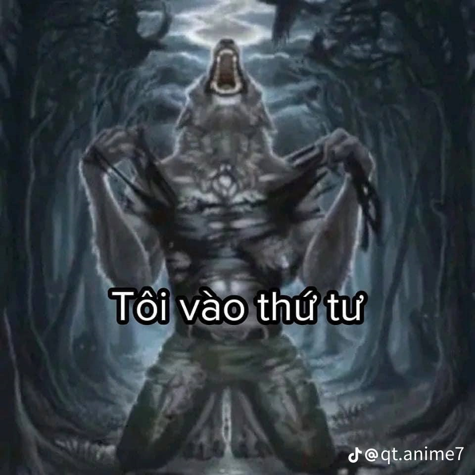 Sói Cô Độc Meme