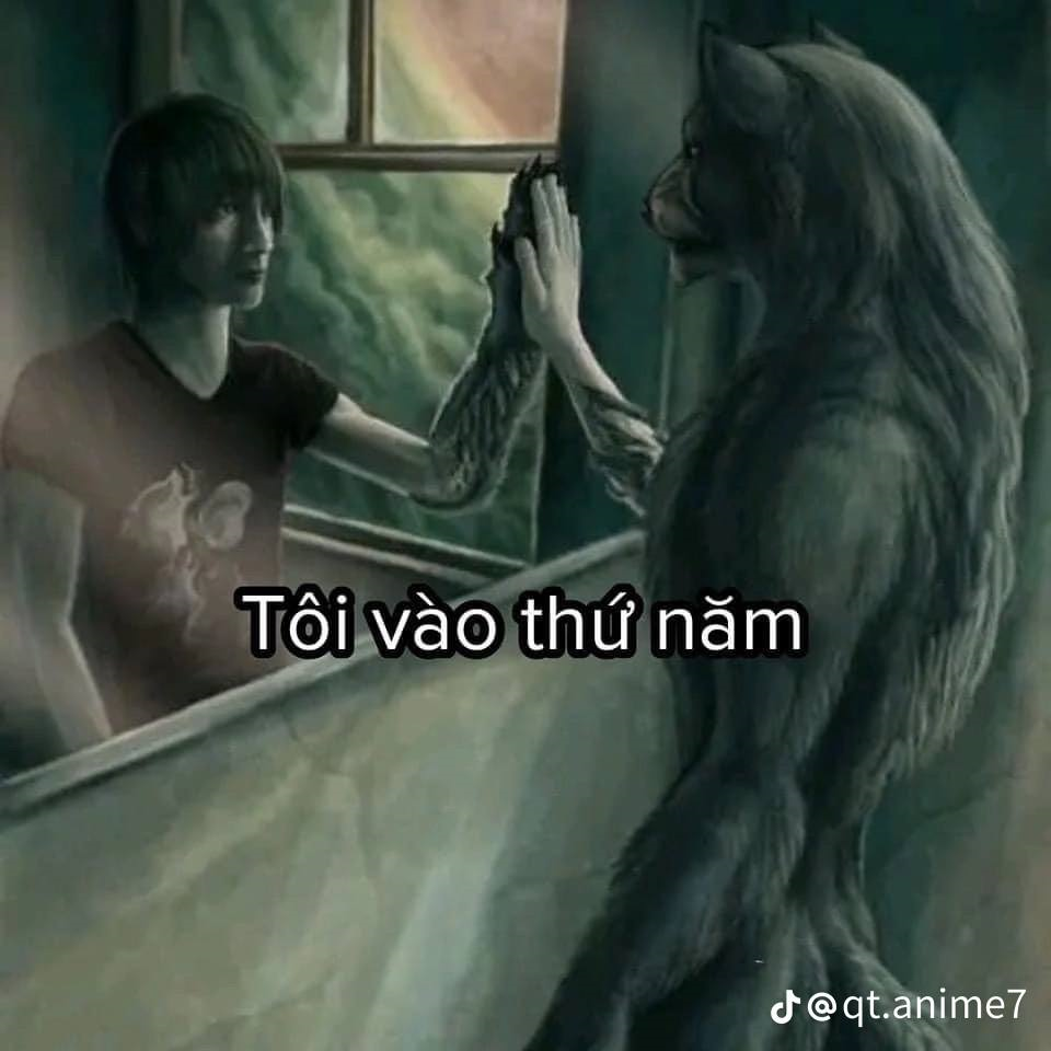 Sói Cô Độc Meme